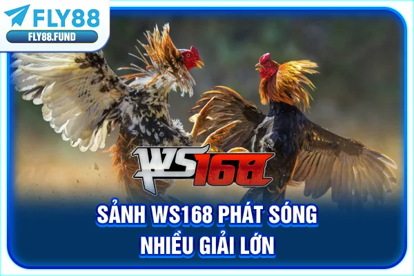 Sảnh WS168 phát sóng nhiều giải lớn