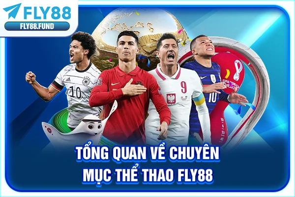 Tổng quan về chuyên mục Thể thao Fly88