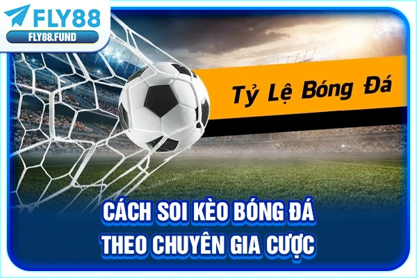 Cách soi kèo bóng đá theo chuyên gia cược