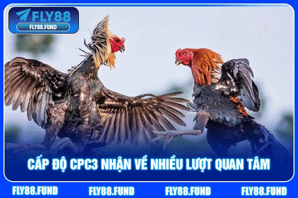 Cấp độ CPC3 nhận về nhiều lượt quan tâm