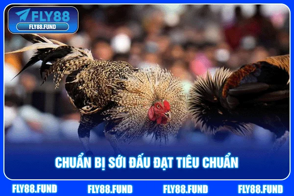 Chuẩn bị sới đấu đạt tiêu chuẩn Chuẩn bị sới đấu đạt tiêu chuẩn