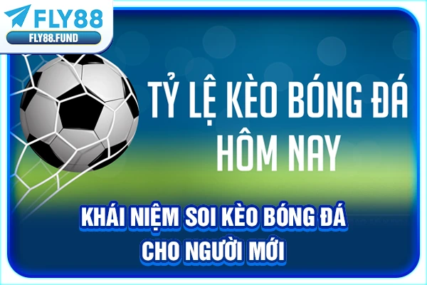 Khái niệm soi kèo bóng đá cho người mới