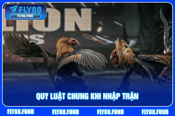 Quy luật chung khi nhập trận