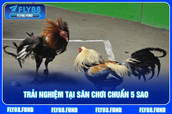 Trải nghiệm tại sân chơi chuẩn 5 sao